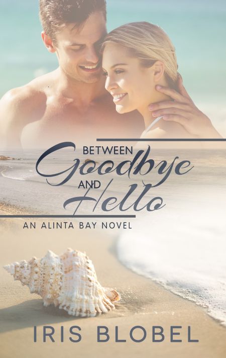 the hello goodbye and everything in between book